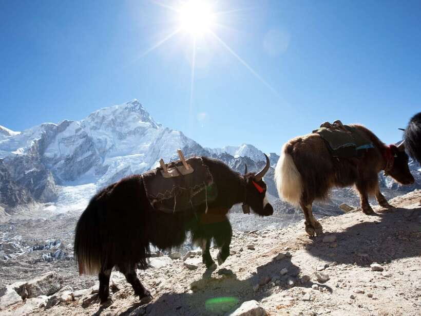 Kathmandu: 6 Days Langtang Valley Trek with Kyanjin Ri - Key points at a glance