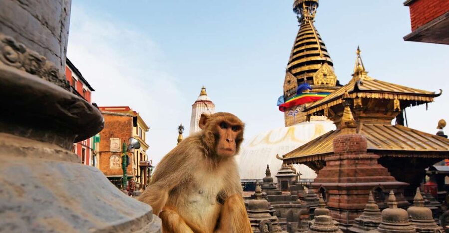 Kathmandu: Chandragiri cable car & Swayambhunath Tour - Key points to know before booking
