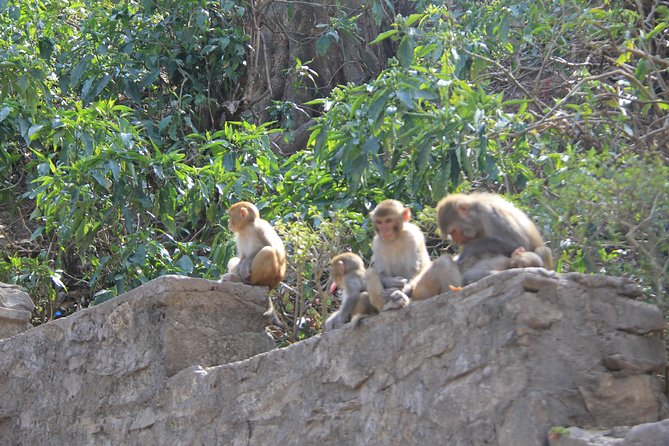 Kathmandu Day Tour - The strongest reason to book