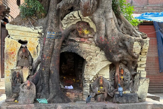 Kathmandu Full Day Tour - Pashupatinath Temple and the Bagmati River