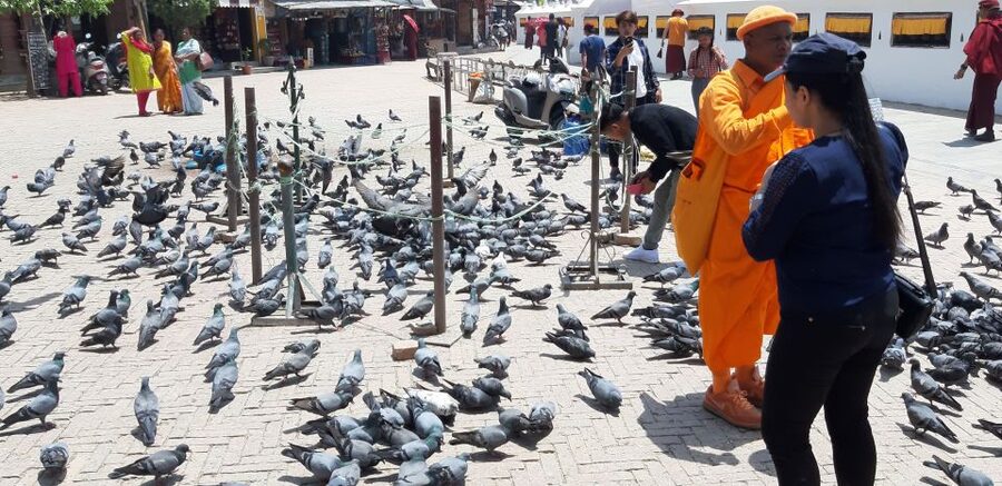 Kathmandu: Guided -Day Tour of World Heritage Sites - Should you book it?