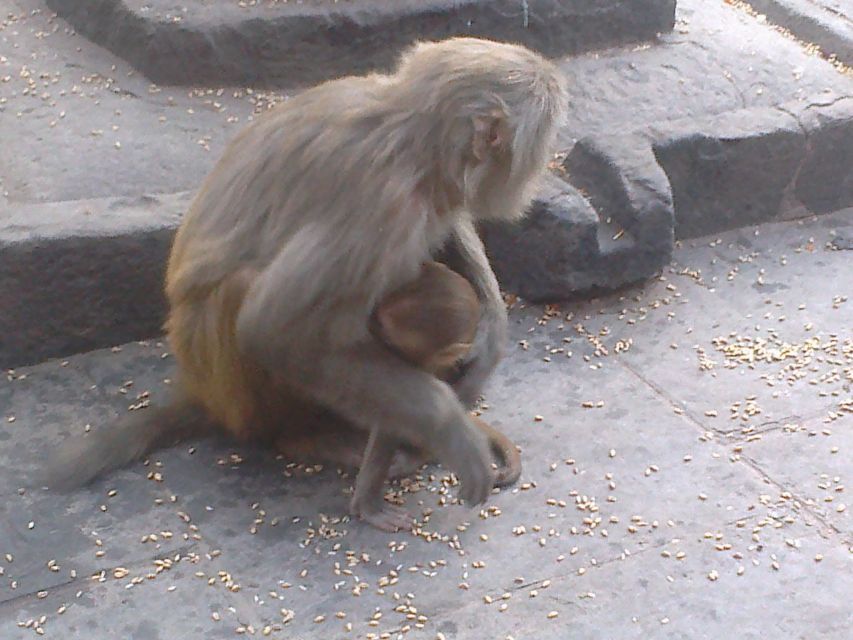 Kathmandu: Monkey Temple and Chandragiri Cable Car Ride Tour - What the $47 price really covers
