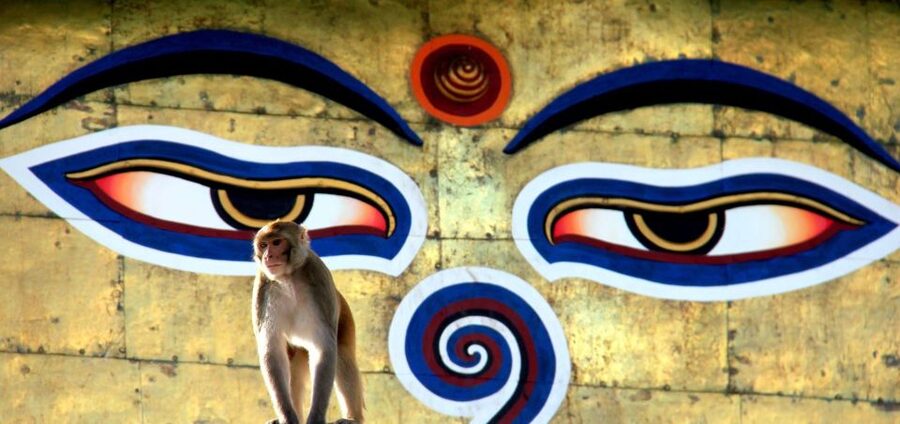 Kathmandu: Monkey Temple and Chandragiri Cable Car Ride Tour - FAQ
