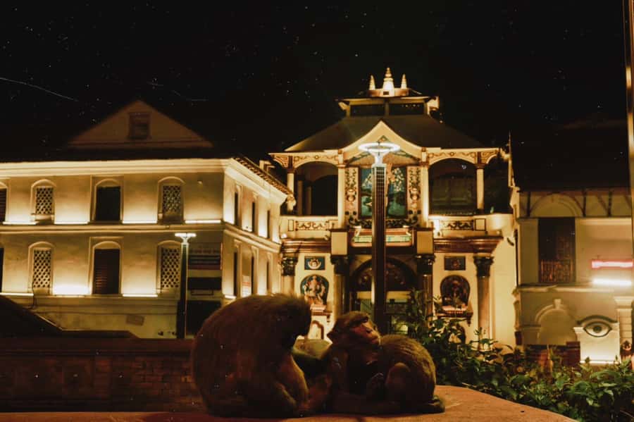 Kathmandu: Pashupatinath Aarati & Cremation Evening Tour - What the $43 price includes