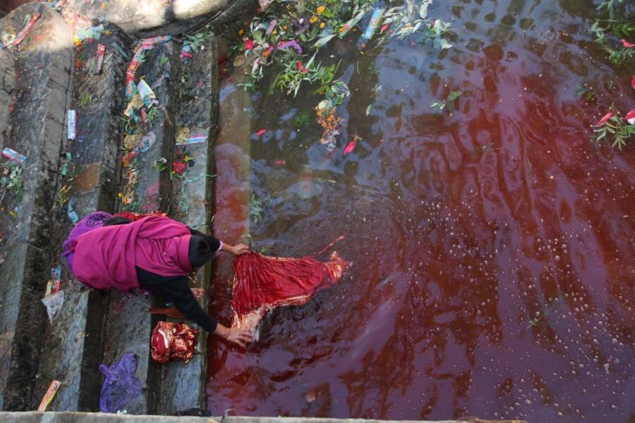 Kathmandu: Pharping, Dakshinkali and Chobhar Tour with Lunch - Taudaha Lake, Kathmandu Valley’s natural pause