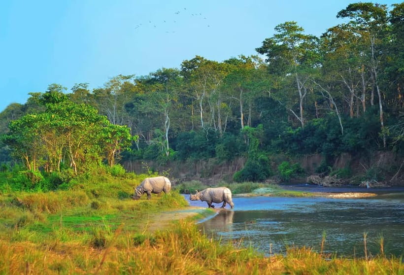 Kathmandu/Pokhara: 3 Day Chitwan Jungle Safari Tour - Day 1: Sauraha, Tharu culture, and sunset