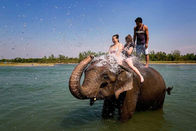 Kathmandu/Pokhara: 3 Day Chitwan Jungle Safari Tour - The jeep safari and Chitwan’s big animals