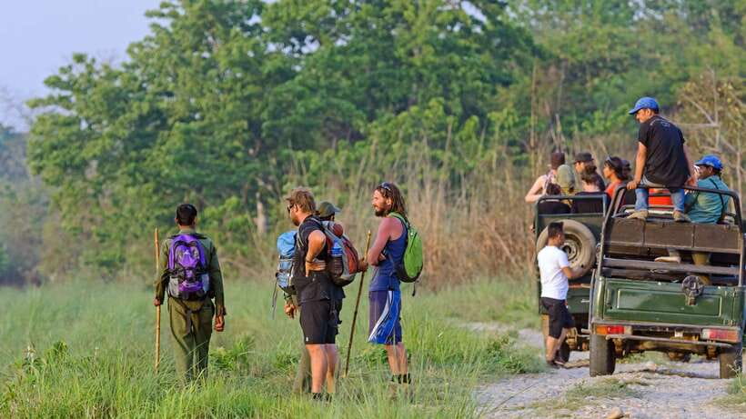 Kathmandu/Pokhara: 3 Day Chitwan Jungle Safari Tour - Should you book the Chitwan safari?