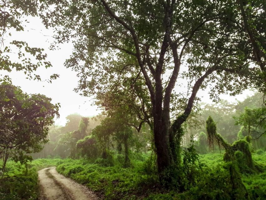 Kathmandu/Pokhara: Wildlife, Culture and Jungle Safari Tour - The first evening: Tharu food and culture
