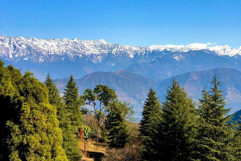 Kathmandu: Shivapuri Day Hike with Lunch - Key points to know before you book