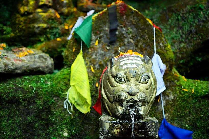 Kathmandu: Shivapuri Day Hike with Lunch - A forest escape above Kathmandu