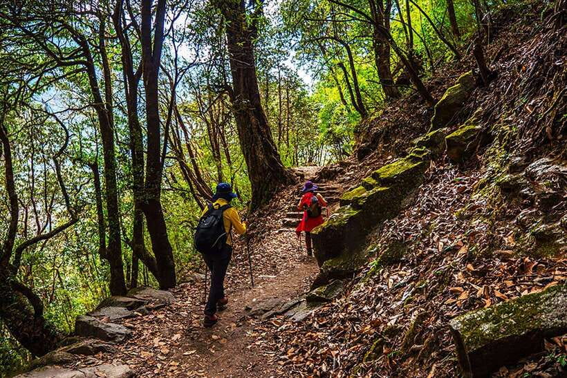 Kathmandu: Shivapuri Day Hike with Lunch - Returning through the park and back to Kathmandu