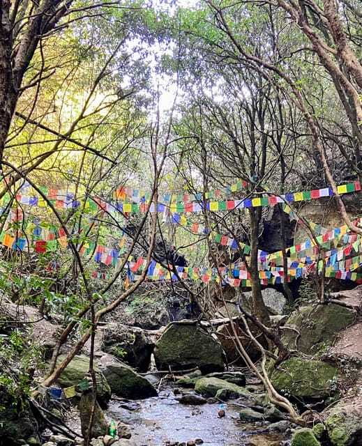 Kathmandu: Shivapuri Hill Day Hike with Lunch box - Listen for pheasants, parakeets, and hornbills