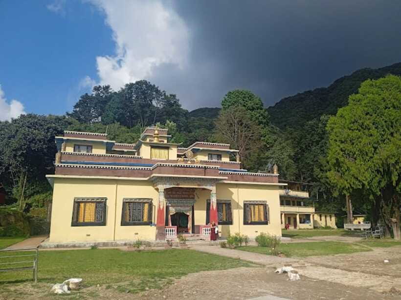 Kathmandu: Shivapuri National park Day Hiking - Forest sounds, orchids, and spring rhododendrons