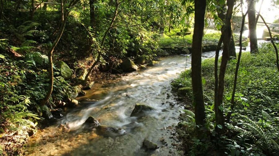 Kathmandu: Shivapuri National Park Hiking Day Trip - What the Guide Adds, and What to Check