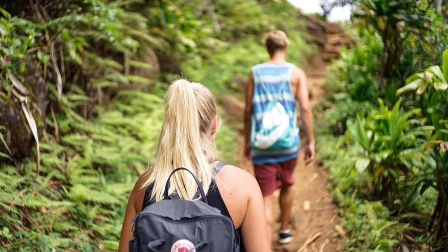 Kathmandu: Shivapuri National Park Hiking Day Trip - Who Should Book This Hike?
