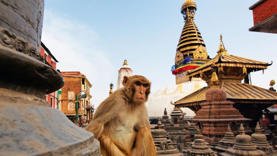 Kathmandu : Swambhunath & Durbar Square Guided Half Day Tour - Reading the carved courtyards of Kathmandu Durbar Square