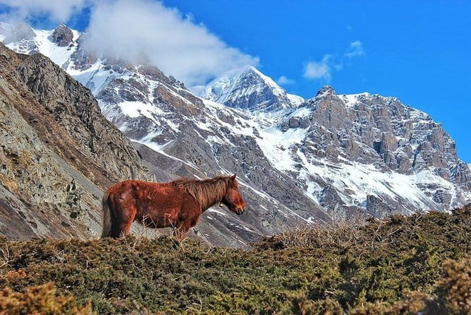 Kathmandu to Langtang Valley 7-Day Trek - Day 3: Lama Hotel to Langtang village