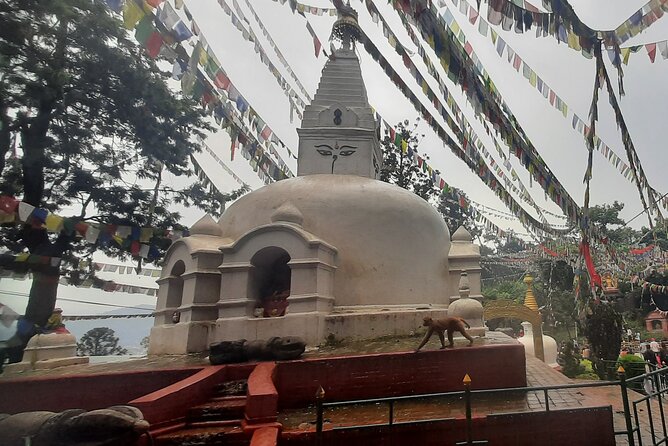 Kathmandu Top 4 or 2 UNESCO World Heritage Sites Day Tour - Boudhanath: walking the circle around the great stupa