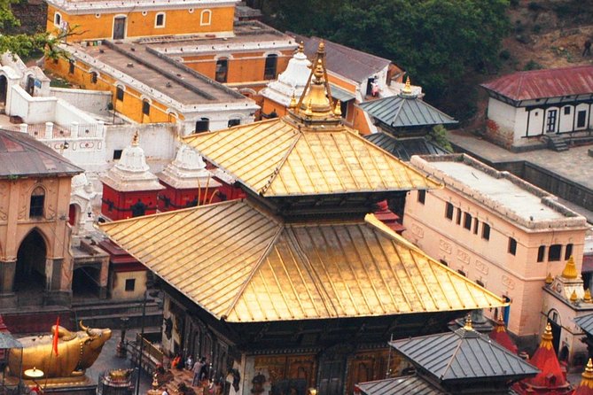 Kathmandu Valley Full Day Sightseeing Tour - The guide question: save money or add context?