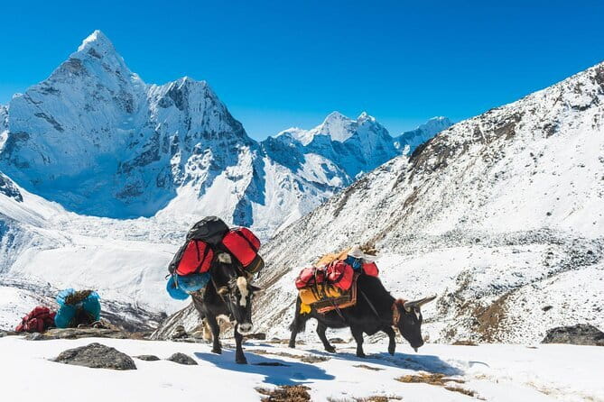 Langtang Trek from Kathmandu 7 Days - Day 6: Lama Hotel to Syabrubesi