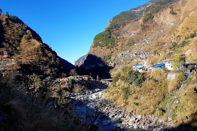 Langtang Valley Trek - Days 6 and 7: Returning through the forest