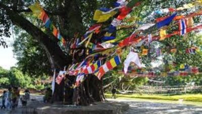Lumbini Full day tour with Guide