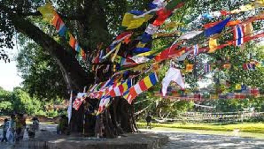 Lumbini Full day tour with Guide - The Sacred Garden and the scale of Lumbini