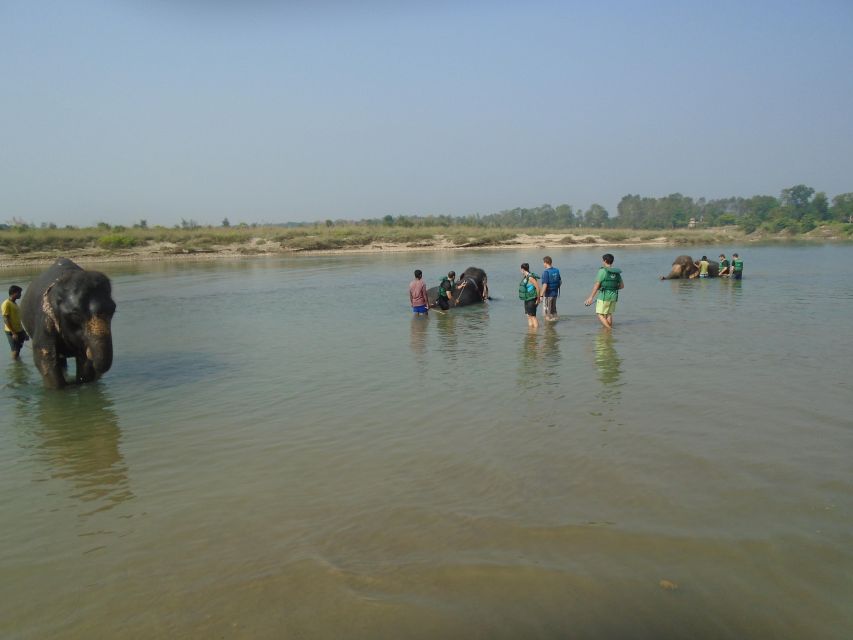Luxury Chitwan Jungle Safari Package (2Nights/3Days) Resort - Two nights at the resort