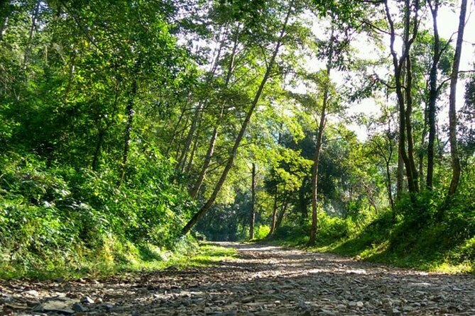 Manakamana Darshan- Day Tour - Who will enjoy this Manakamana day trip