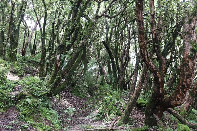 Mardi Himal Base Camp Trek (5 Days) - Day 5: Sidhing Descent and the Return to Pokhara