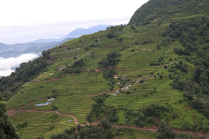 Mardi Himal Base Camp Trek (5 Days) - Day 2: Forest Walking Toward Badal Dhanda