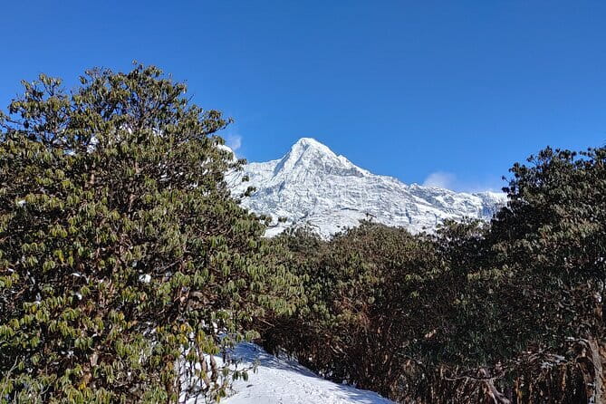 Mardi Himal Trek - Day 2: Forest Camp, Low Camp, and the rise toward High Camp