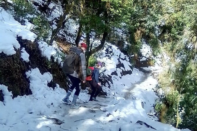 Mardi Himal Trek - Day 4: Descending to Landruk