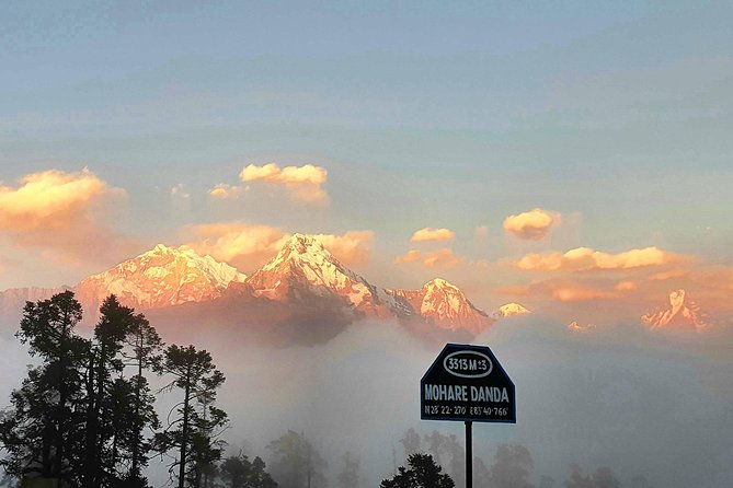Mohare Danda Trek - Why Mohare Danda feels different from a standard Nepal trek
