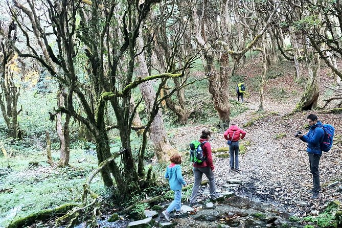 Mohare Danda Trek - Day 5: The climb toward Mohare Danda