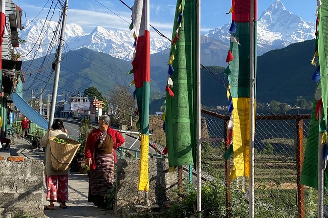 Morning Half Day Tibetan cultural tour to Tibetan Settlements - Is $60 a fair price?