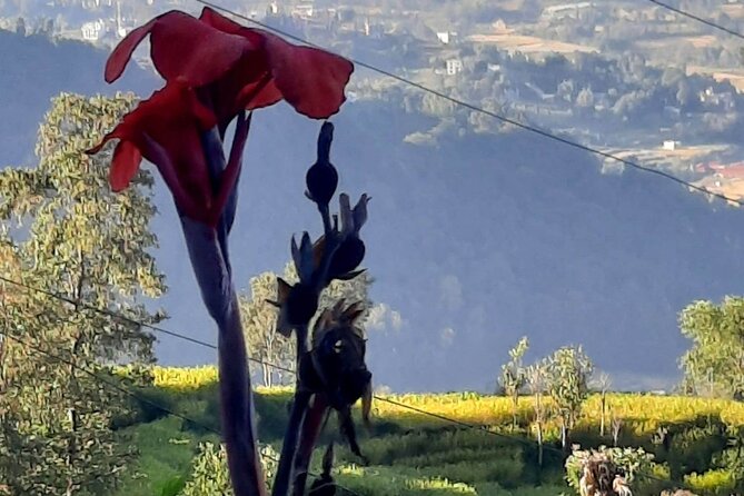 Nagarkot (2175m) Sunrise and Day Hike to Changunarayan Temple - Nagarkot sunrise and the mountain view
