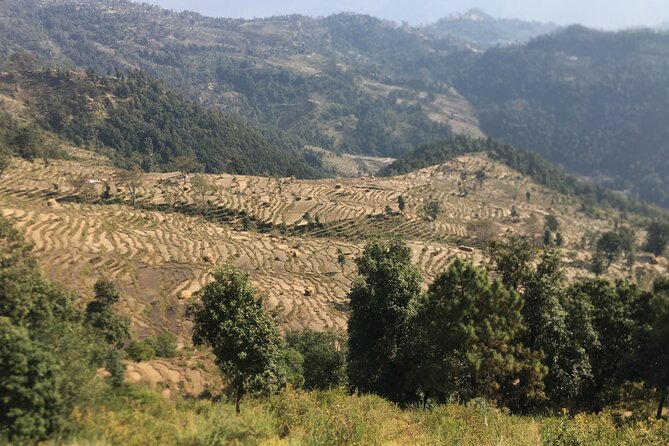 Nagarkot Full-Day Hiking Tour from Kathmandu - Walking from Changu Narayan to Nagarkot