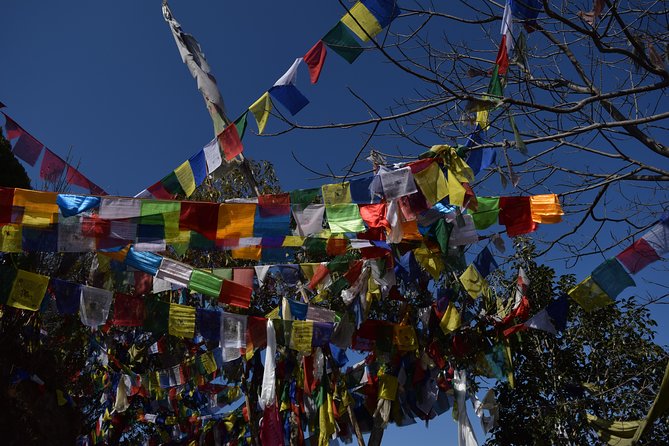 Namo Buddha and Thrangu Tashi Yangtse Monastery Half-Day Tour - The 11:30 start from central Kathmandu