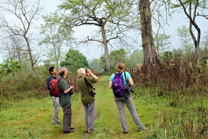 Nepal Birding - Guides with strong local birding experience