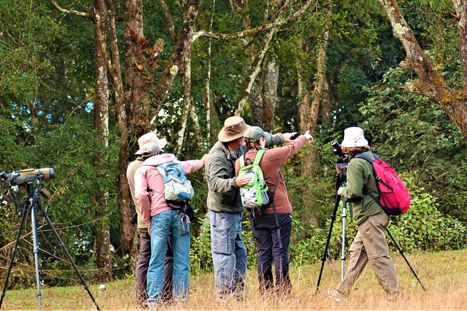Nepal Birding - What $225 buys you