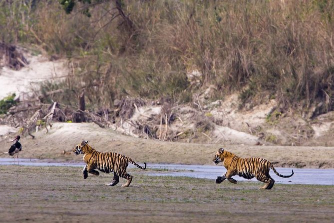 Nepal Classic Tour -12 Days - Days 1 to 3: Kathmandu temples and old royal cities