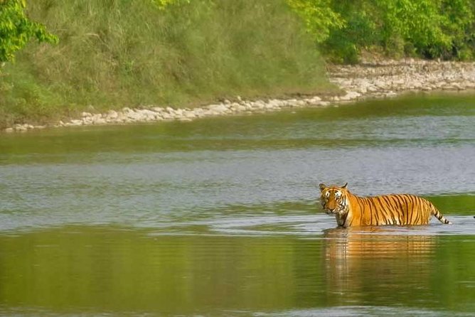 Nepal Classic Tour -12 Days - Day 11: River views and the return to Kathmandu