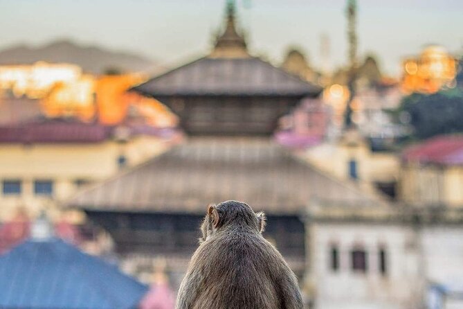 PashupatiNath and BoudhaNath - Private/Small Group - Guhyeshwari Shaktipeeth and the walk toward Boudhanath
