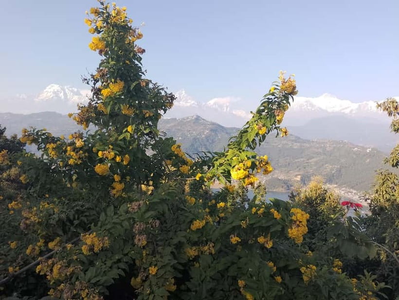 Peace & Panorama: Stupa and Pumdikot Scenic Drive Tour - Should you book the Stupa and Pumdikot drive?