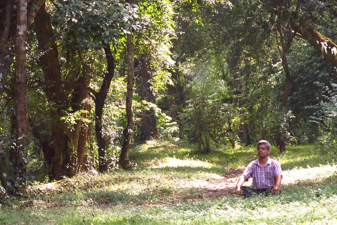 Pharping Asura Cave Meditation Tour - The drive from Kathmandu and the value of private pickup