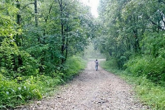 Phulchoki bird-watching tour - Why Phulchoki works for a day outside Kathmandu