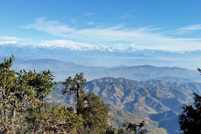 Phulchoki bird-watching tour - Is $324 good value?