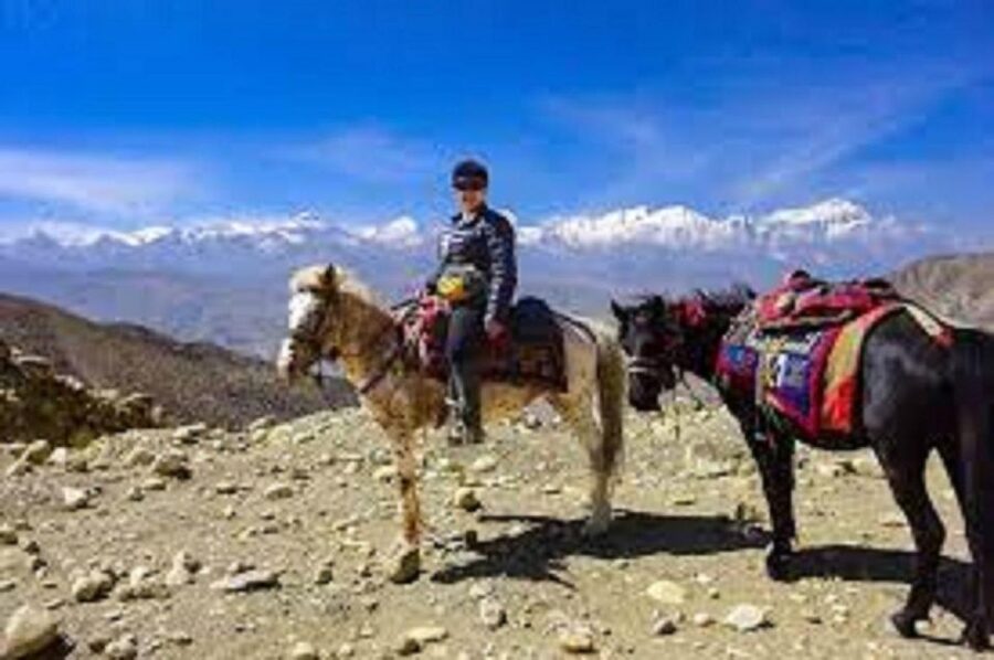 Pokhara: 1-Hour Horseback Ride with Hotel Pickup - Riding through forests, meadows, and quiet trails